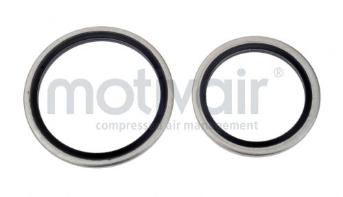 Cetop Bonded Seals For BSP Threads