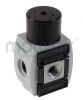 Filter Regulators / Lubricators / Gauges