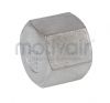 Hexagon Blanking Cap 1/8 - 2 BSPP 316 St/Steel 