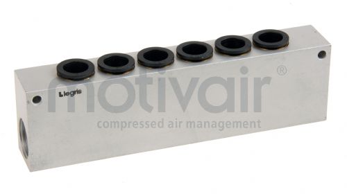 Legris LF3000 Push In Line Manifold