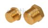 Brass Solid Hex Male BSPT and NPT Blanking Plug