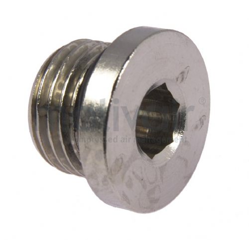Nickel Plated Brass Internal Hex BSP Blanking Plug