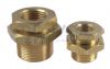 Legris Brass BSP Bulkhead Fitting