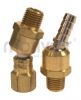 Brass Hosetails